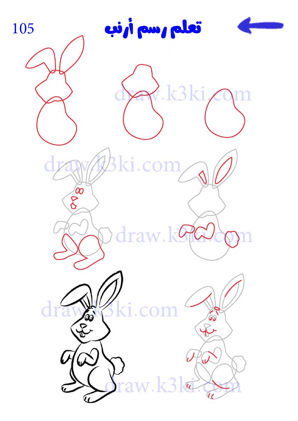 تعلم رسم أرنب تعلم الرسم