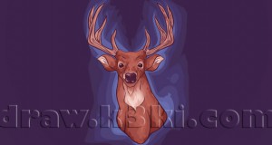 تعلم رسم الحيوانات - تعلم رسم غزال