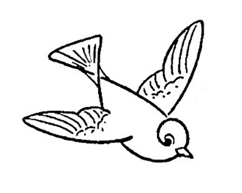 تعلم رسم طائر بأربع طرق تعلم الرسم ببساطة