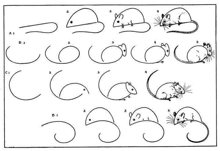تعلم رسم فأرة بأربع طرق خطوة بخطوة - تعلم الرسم ببساطة