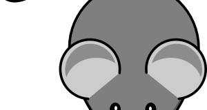 تعلم رسم فأرة