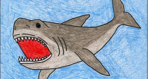 تعلم رسم قرش خطوة بخطوة