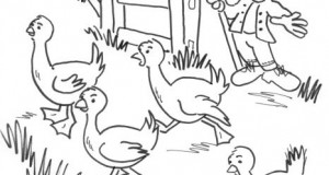 تلوين طيور في المزرعة