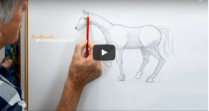 رسم حصان خطوة بخطوة