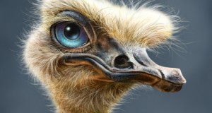 تعلم رسم النعامة