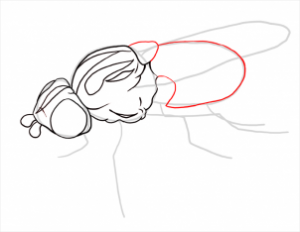 تعلم رسم ذبابة