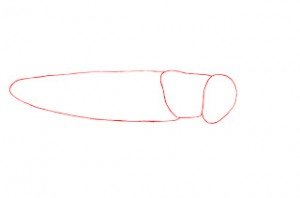 تعلم رسم جرادة - تعلم رسم جندب