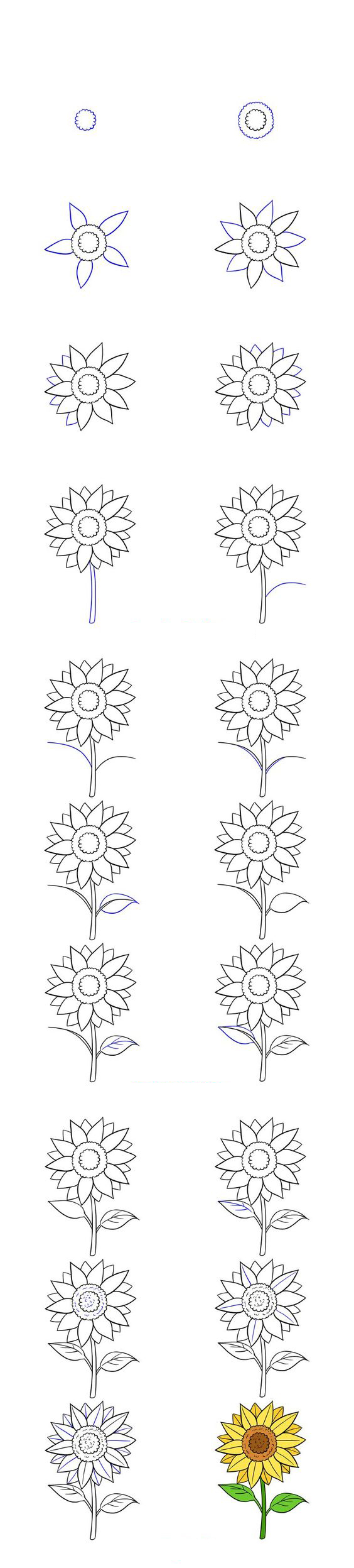 الرسم للمبتدئين طريقة سهلة لرسم دوار الشمس خطوة بخطوة - تعلم الرسم