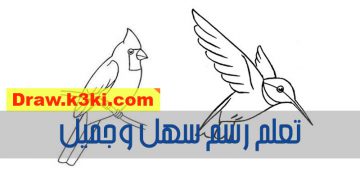 تعلم رسم الحيوانات Archives تعلم الرسم