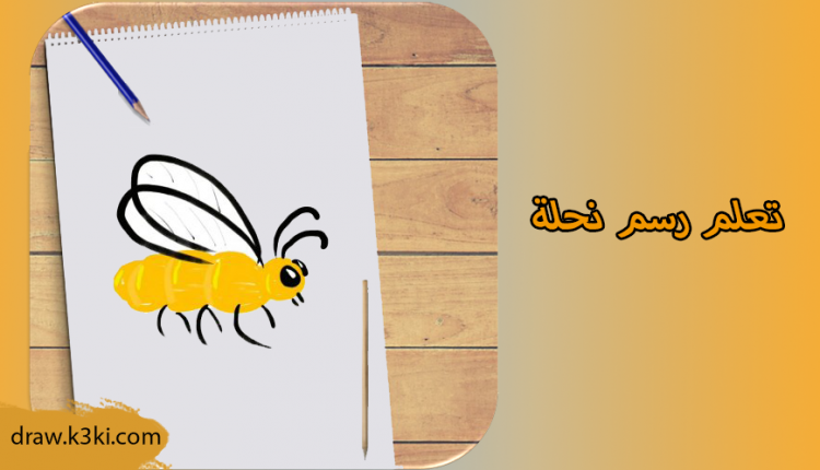 رسم نحلة خطوة بخطوة