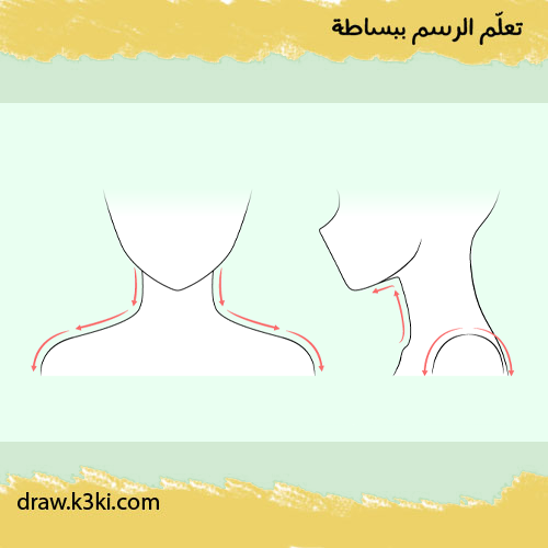 الخطوة 1 - ارسم العنق والكتفين:
