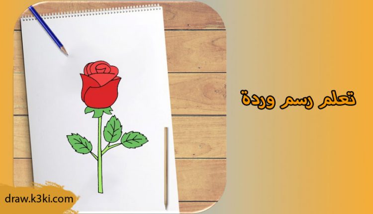 كيفية رسم وردة بطريقة سهلة خطوة بخطوة