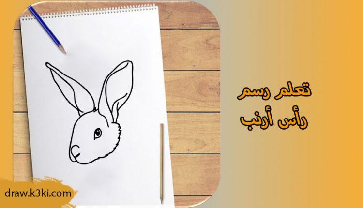 رسم رأس أرنب خطوة بخطوة
