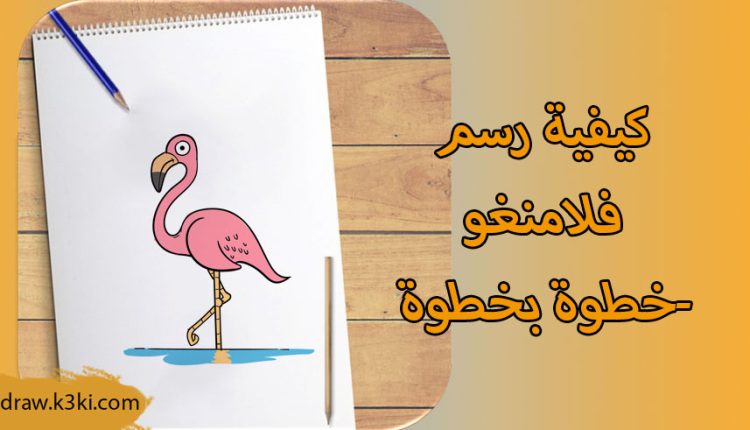 كيفية رسم فلامنغو -خطوة بخطوة